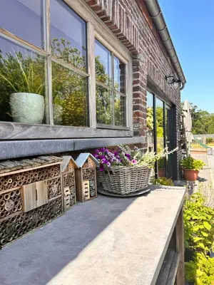 a patio with flowers and a building with windows at ‘t Vaerthuys in Dilsen-Stokkem