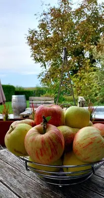 a bowl of apples and pears on a table at La Maison de Marie in Borgloon