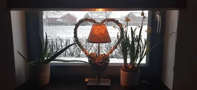 a window with two potted plants and a lamp at Maison en bois in Lontzen