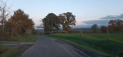 an empty road with trees on the side of a field at Maison en bois in Lontzen