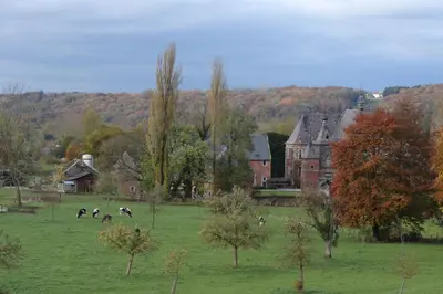 a group of cows grazing in a field with houses at Mille Fleur Apartments in Voeren