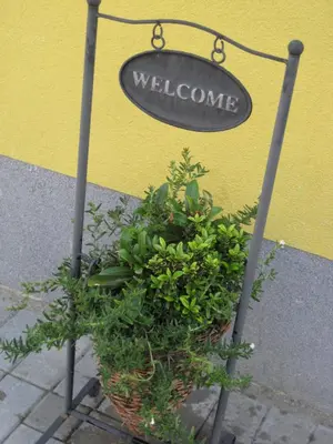 a potted plant sitting in front of a welcome sign at B&B Het Uilennest in Bocholt