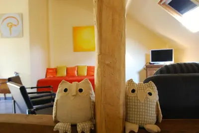 two owls sitting on a table in a living room at B&B Het Uilennest in Bocholt