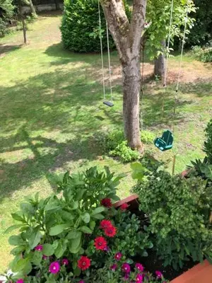 a garden with flowers and a tree and a swing at Beau Reg'Art in Hasselt