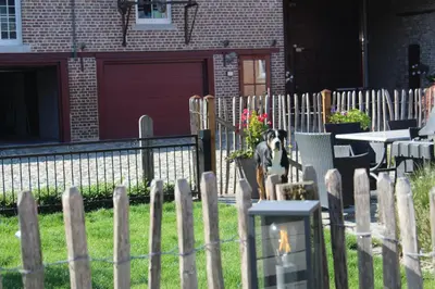 a dog sitting on a fence in a yard at B&B Hoeve De Brieser in Heers