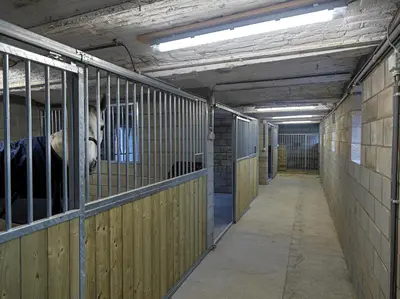 a barn with a horse looking out of its stalls at B&B Hoeve De Brieser in Heers