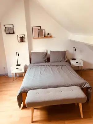 a bedroom with a large bed with two night stands at Les charmilles in Chaudfontaine