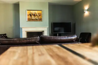 a leather couch in a living room with a fireplace at Kolisheide in Peer