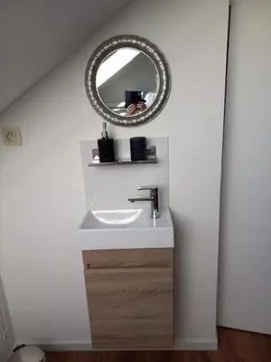 a bathroom with a sink and a mirror at De achtertuin in Maasmechelen