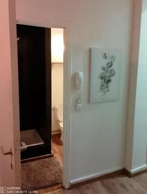 a bathroom with a toilet and a picture on the wall at Logement Régence in Liège
