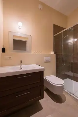 a bathroom with a sink and a toilet and a shower at B&B 't Maanhof in Gingelom