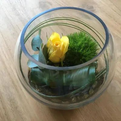 a glass bowl with a yellow rose and plants in it at Villa van Brienen - Studio in Dilsen-Stokkem