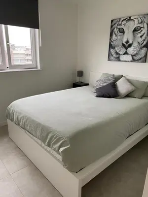 a bed in a white bedroom with a tiger picture on the wall at Gezellig 1 slaapkamer appartement nabij het stadscentrum in Hasselt