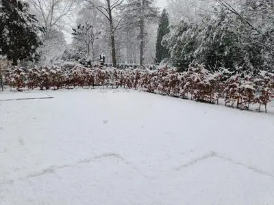 a group of people standing in the snow at Lauwie 14 in Lanaken