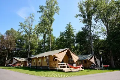 a group of tents with chairs and trees at Glamping Belgisch Limburg in Oudsbergen