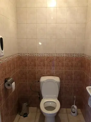 a bathroom with a toilet and a sink at Hoeve de Singel in Borgloon