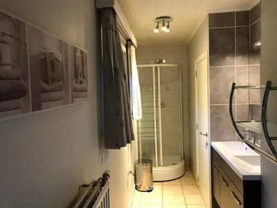 a bathroom with a shower and a toilet and a sink at Hoeve de Singel in Borgloon