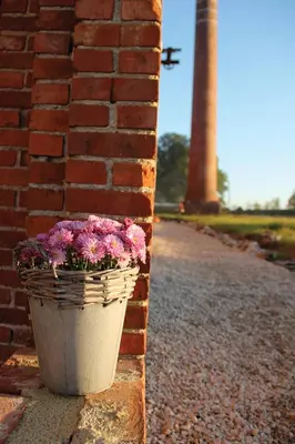 a pot of flowers sitting next to a brick wall at B&B Amuse-Couche in Hasselt