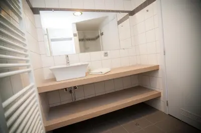 a bathroom with a sink and a mirror at Apartment De Maasnacht in Maaseik