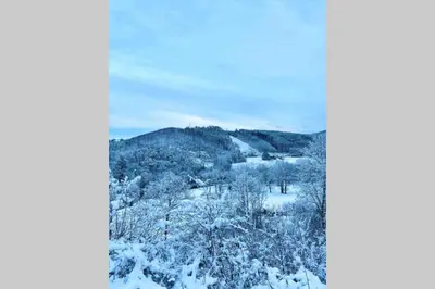 a view of a snow covered mountain with trees at Duplex 90m Centre Verviers Calme Gare à pied Spa Francorchamps 20 min in Verviers