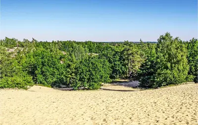 a group of trees on a sandy beach at Stunning Home In Meeuwen-Gruitrode in Aan ʼt Hoolven