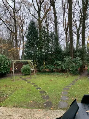 a soccer goal in a yard with trees at La Casita E41 in Lanaken