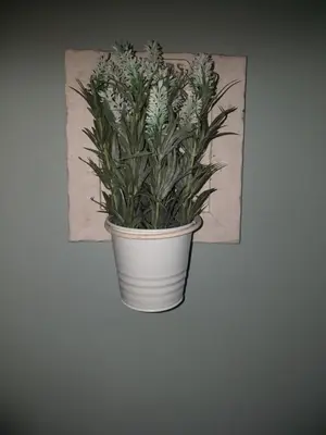 a plant in a white pot hanging on a wall at La Maison de Sidonie in Jalhay