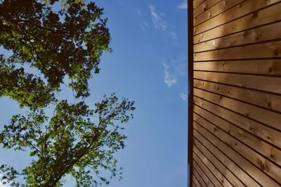 a wooden wall with a tree in the background at Sweet Valley Julia in Zutendaal