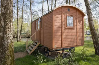 a wooden tiny house sitting in the woods at Glamping - 25 min Roermond, Maasmechelen & Maastricht in Kinrooi