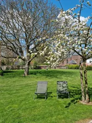 two chairs sitting in a field with a flowering tree at Haspenhoeve Vakantiewoning in Herstappe