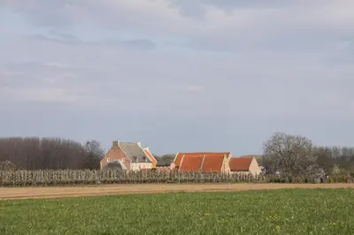 a row of houses in a field with a fence at Hoeve Luitenant Halleux in Linter