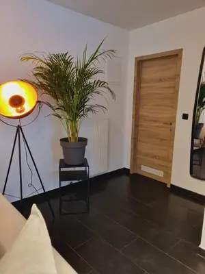 a living room with a potted plant and a door at La suite de lati in Liège