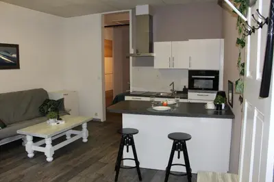 a kitchen and living room with a couch and a table at Elena's Apartment in Liège