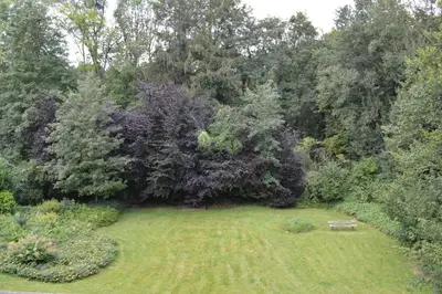 a park with a bench in the middle of a field at Oasis Verte in La Calamine