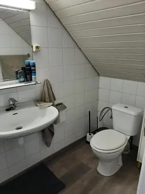 a bathroom with a toilet and a sink at De Bosdreef - Hengelhoef - duplex met verwarmd openluchtzwembad in Houthalen-Helchteren