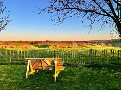 a wooden bench sitting in the grass next to a fence at Ô Macra B&B - Aubel, Pays de Herve in Aubel