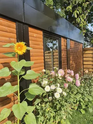 a garden of flowers in front of a building at Houten huisje tussen paarden in Nieuwerkerken