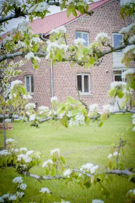 a brick building with a yard with white flowers at B&B De Fruithoeve in Hoeselt