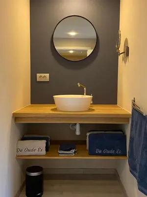 a bathroom with a sink and a mirror at De oude es in Bocholt