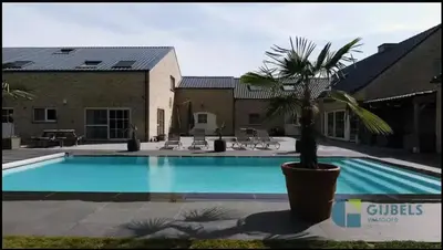 a large swimming pool with a palm tree next to a building at Susberg 3 in Pelt