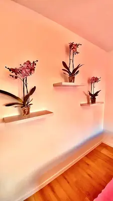 a room with three shelves with flowers on the wall at La douce Rive in Esneux