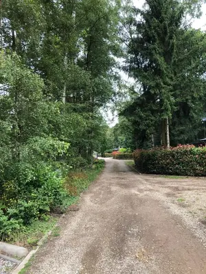 a dirt road with trees on the side of it at Vakantiewoning Mystiek in Zutendaal