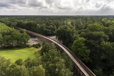 an aerial view of a train track in the forest at Huize Clementina in Peer