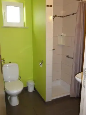 a green bathroom with a toilet and a shower at Schophemmerhoeve in Voeren