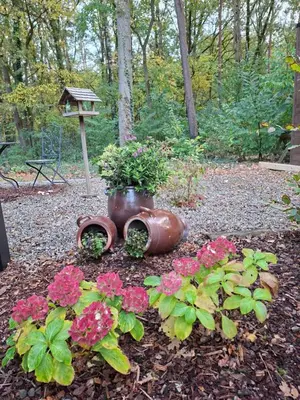 a garden with two pot plants and flowers at Theressa - Free Wifi en Netflix in Zutendaal