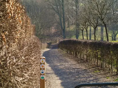 a dirt road with bushes and trees on it at De Jölenberg in Heers