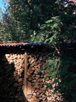 a pile of fire wood on the side of a building at Mimi's natuurhuisje in Lanaken