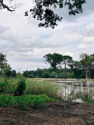 a body of water with trees in the background at Mimi's natuurhuisje in Lanaken