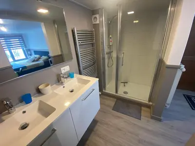 a bathroom with a shower and a sink and a mirror at Route 123 Birchwood Pension in Kortessem
