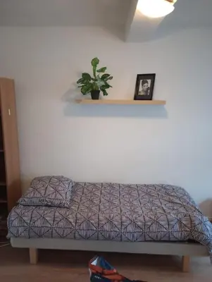 a bedroom with a bed and a plant on a shelf at Studio régence in Liège